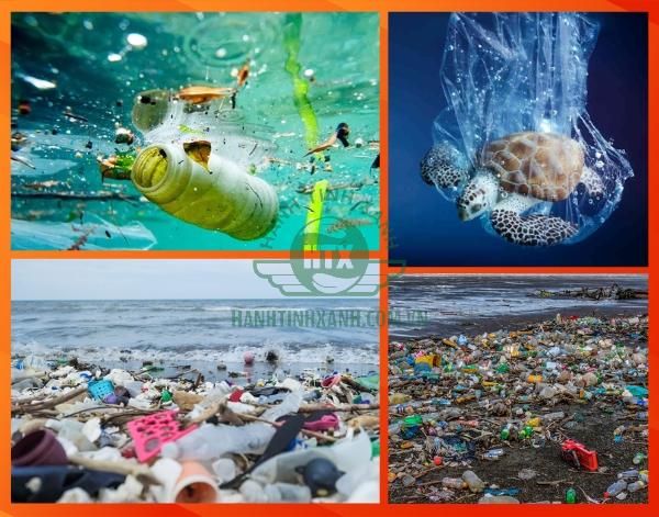 Environmental Impact of Single-Use Plastic Bags