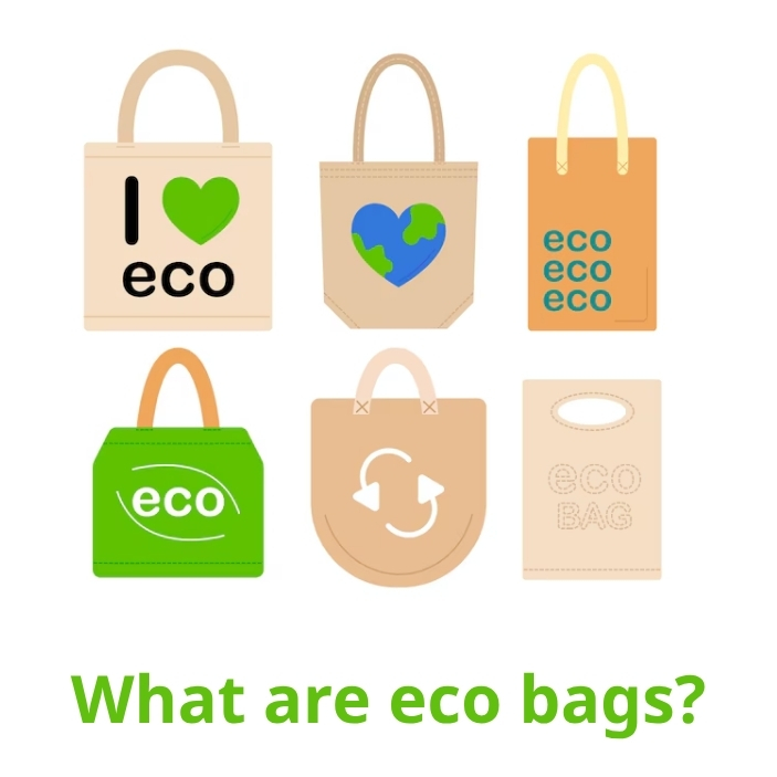 What are eco bags?