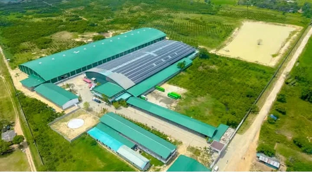 pp woven bags in sri lanka