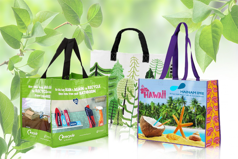 5176tui-sieu-thi-xuat-khau-hainam-ime