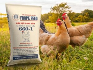 PP Woven Animal Feed Bags